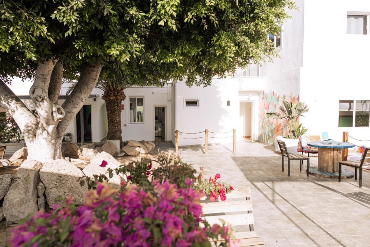 The Tree House Tenerife Ελ Μέντανο Εξωτερικό φωτογραφία