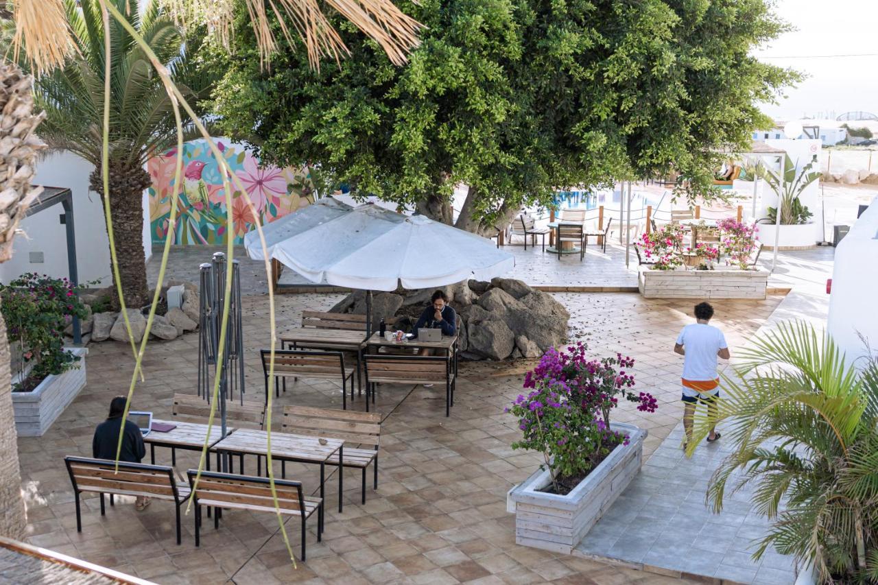 The Tree House Tenerife Ελ Μέντανο Εξωτερικό φωτογραφία