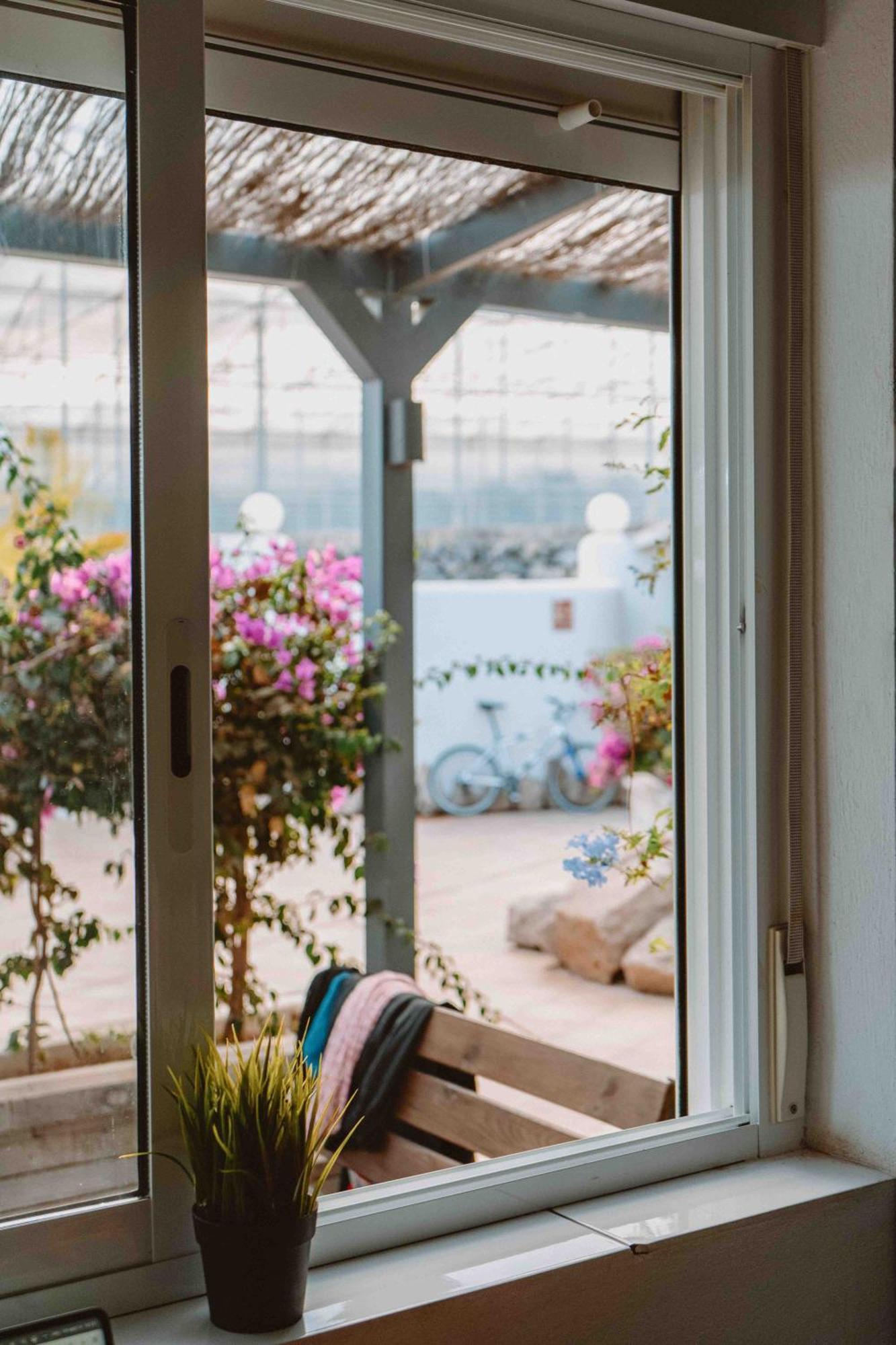 The Tree House Tenerife Ελ Μέντανο Εξωτερικό φωτογραφία