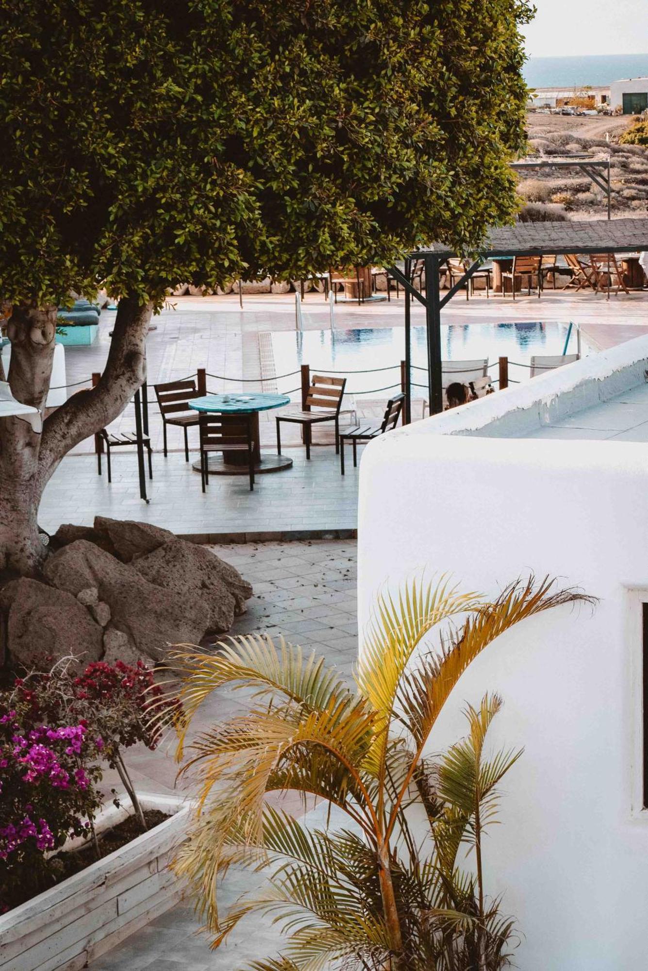 The Tree House Tenerife Ελ Μέντανο Εξωτερικό φωτογραφία
