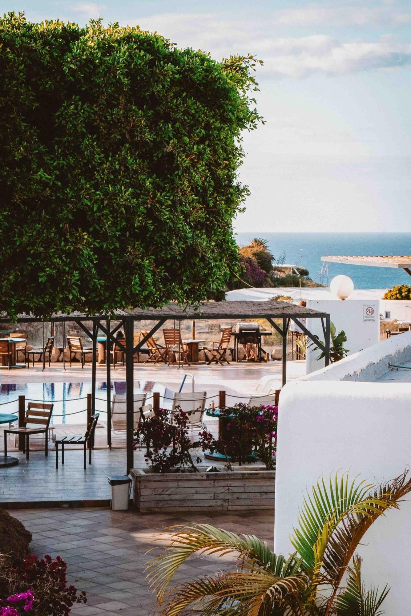 The Tree House Tenerife Ελ Μέντανο Εξωτερικό φωτογραφία